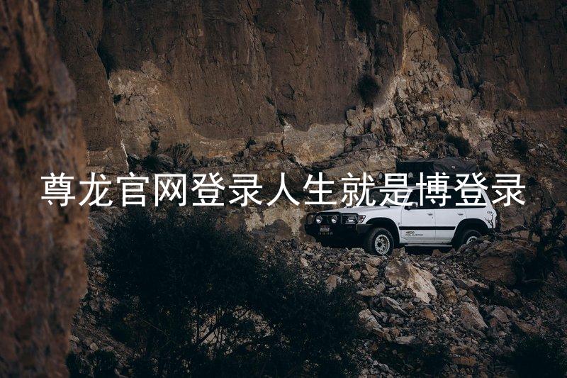 尊龙官网登录人生就是博登录