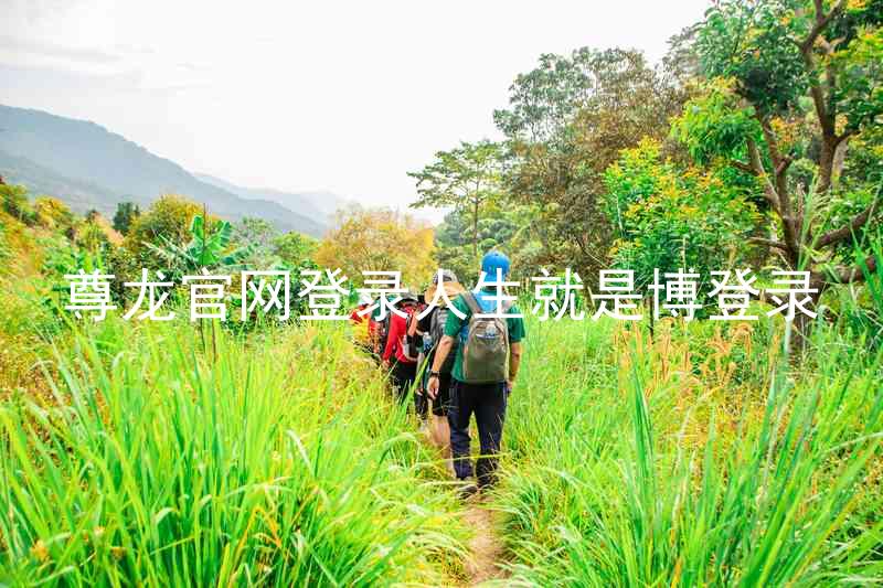 尊龙官网登录人生就是博登录